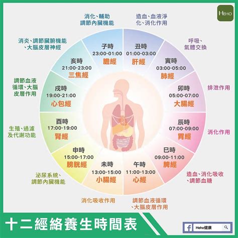 經絡時辰對照|人體經絡十二時辰對照表，選對時間，經絡養生事半功。